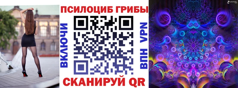 Галлюциногенные грибы Cubensis  Купить закладки  Ахтубинск 